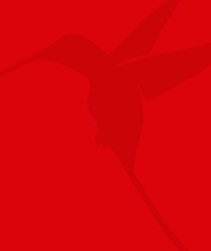 colibri bg